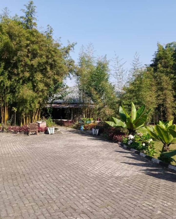 Le Bambou Gorilla Lodge Kinigi Exteriör bild