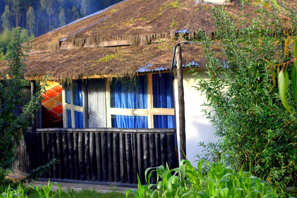 Le Bambou Gorilla Lodge Kinigi Rum bild