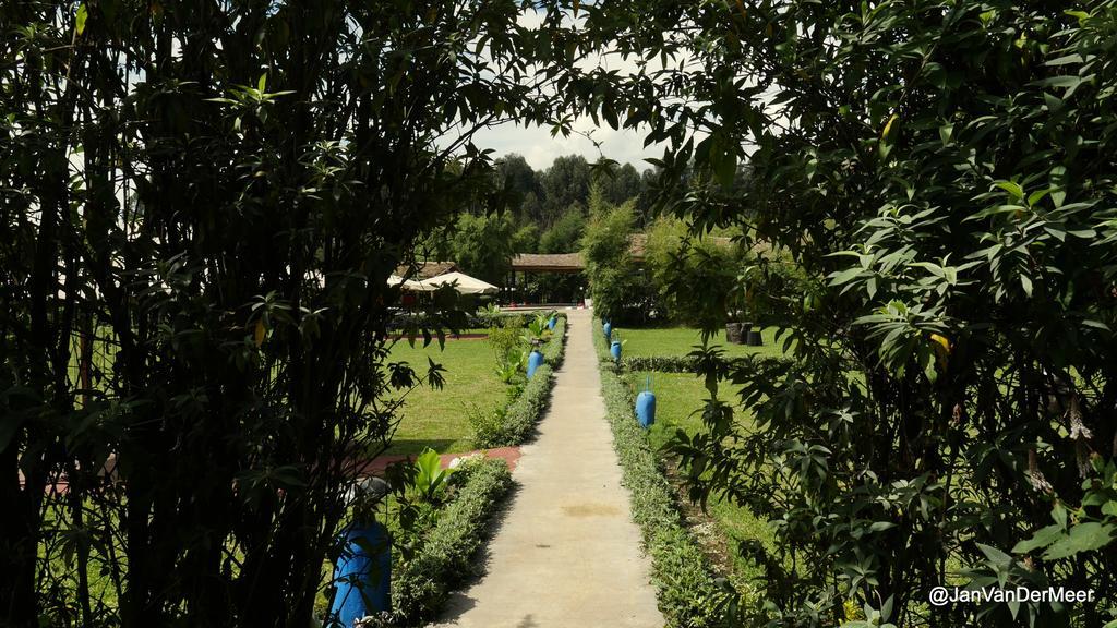 Le Bambou Gorilla Lodge Kinigi Exteriör bild