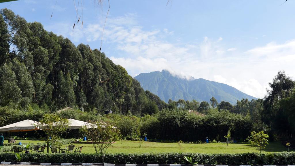 Le Bambou Gorilla Lodge Kinigi Exteriör bild