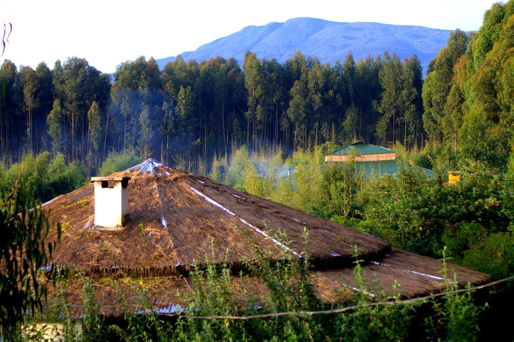 Le Bambou Gorilla Lodge Kinigi Exteriör bild