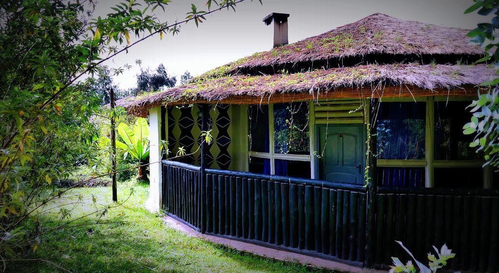 Le Bambou Gorilla Lodge Kinigi Exteriör bild